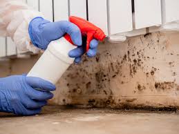 Best Mold Odor Removal Services  in Montalvin Manor, CA